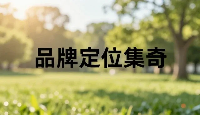何种条件适合采用策划服务提升业务表现